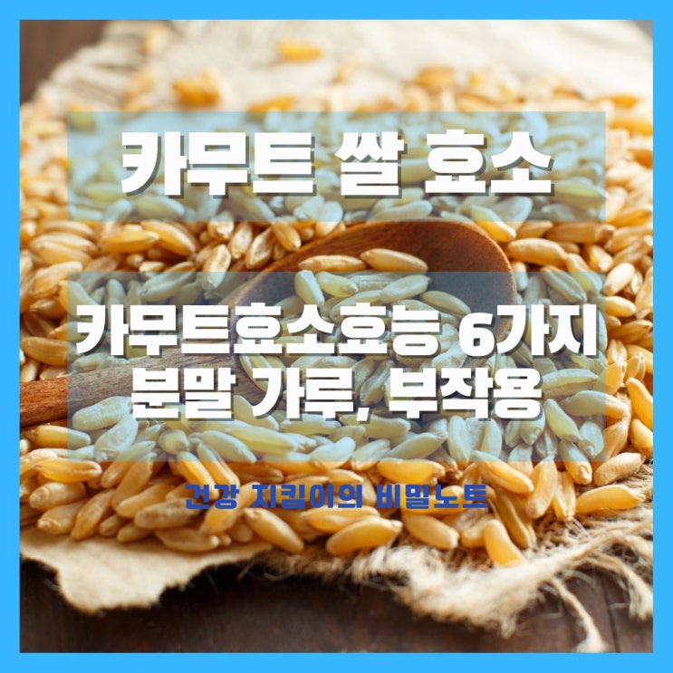 카무트 쌀 효소 효능 6가지와 분말 가루 복용법, 부작용