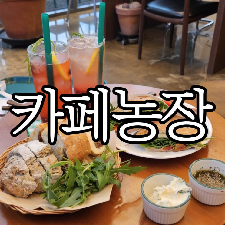  울산주전어물동 조용한 브런치카페 카페농장