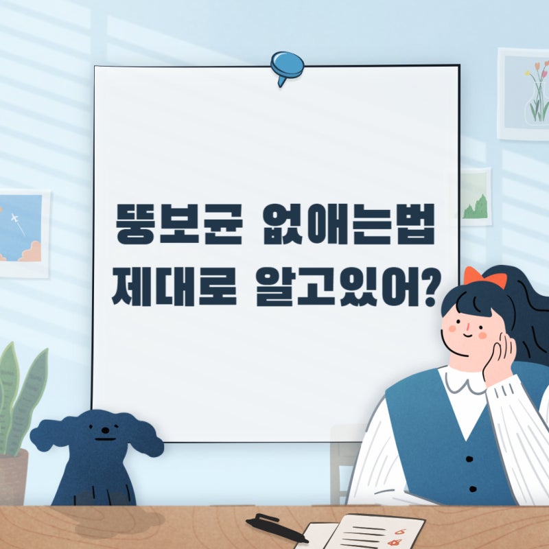 뚱보균 없애는법 6가지와 뚱보균 증상