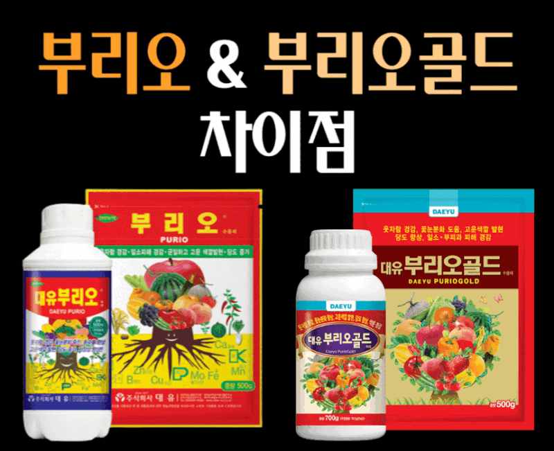 대유 부리오와 부리오골드 차이점