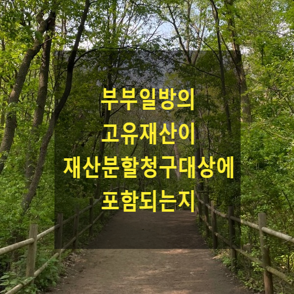  이혼 시 부부일방의 고유재산(결혼 전부터 가지고 있던 재산)이 재산분할청구대상에 포함되는지