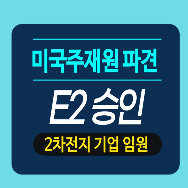  2차전지 기업 임원 - E2직원 미국 주재원 파견 비자
