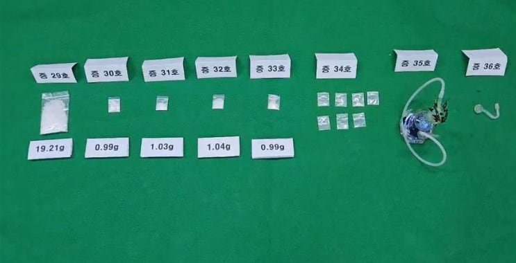 <b>마약</b> 소지 및 투약한 <b>보이스피싱</b> 수거책