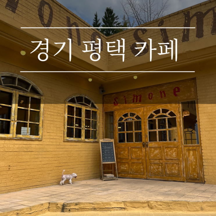  평택카페 시모네 유럽감성 신상 애견동반카페 추천