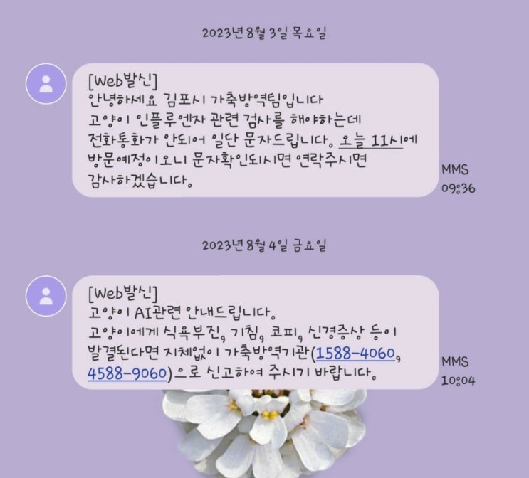 다사다난했던 8월!