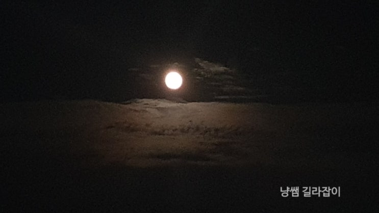  이웃님들 슈퍼블루문 보세요~^^
