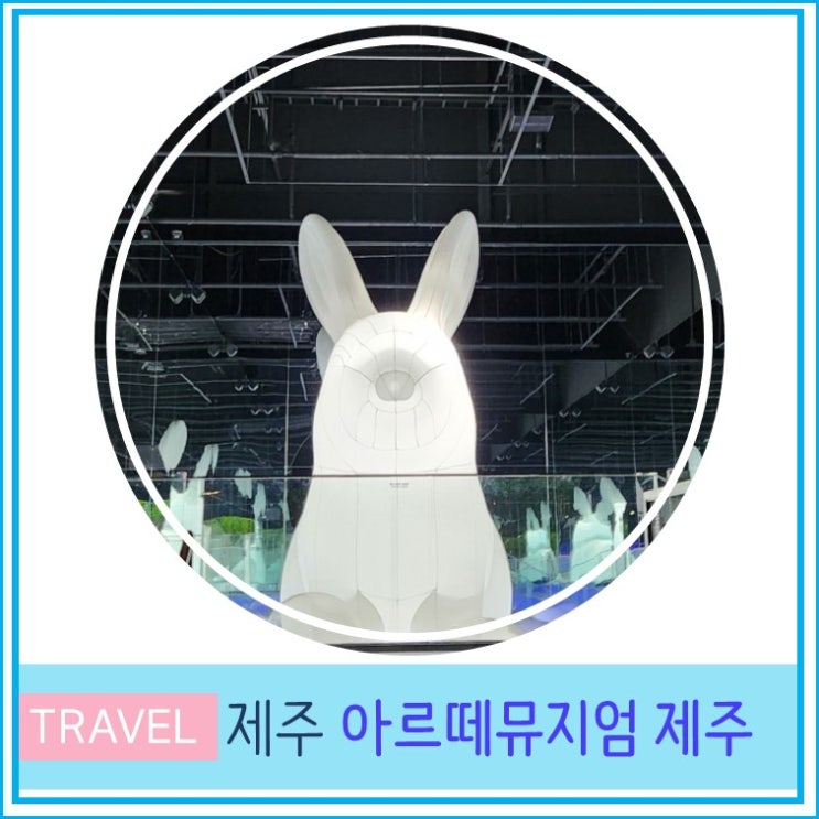  제주 아르떼 뮤지엄 입장료 주차장 제주도 여행 실내 데이트 가볼만한 곳 미디어아트