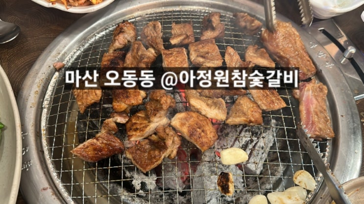  마산맛집 오동동 아정원참숯갈비 , 소고기 돼지갈비 맛있는 곳 !