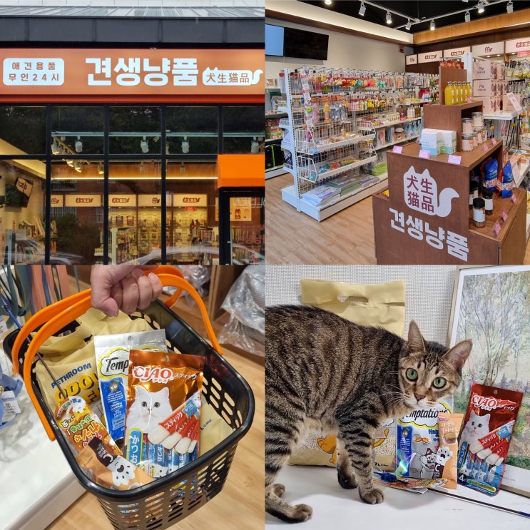  경산펫샵 <견생냥품 경산사동점> 경산애견용품샵, 고양이용품샵 추천!