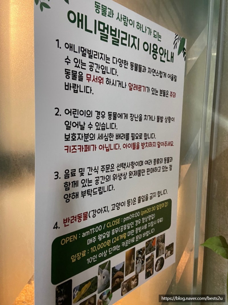 충남야생동물구조센터: 2013년 11월 야생동물 구조(치료) 결과 분석, image size:800x1067