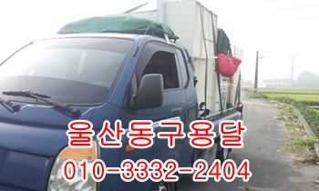울산동구용달 방어진 울릉도 정자 양남 양북 감포. 울산동구용달 방어진 울릉도 정자 양남 양북 감포.