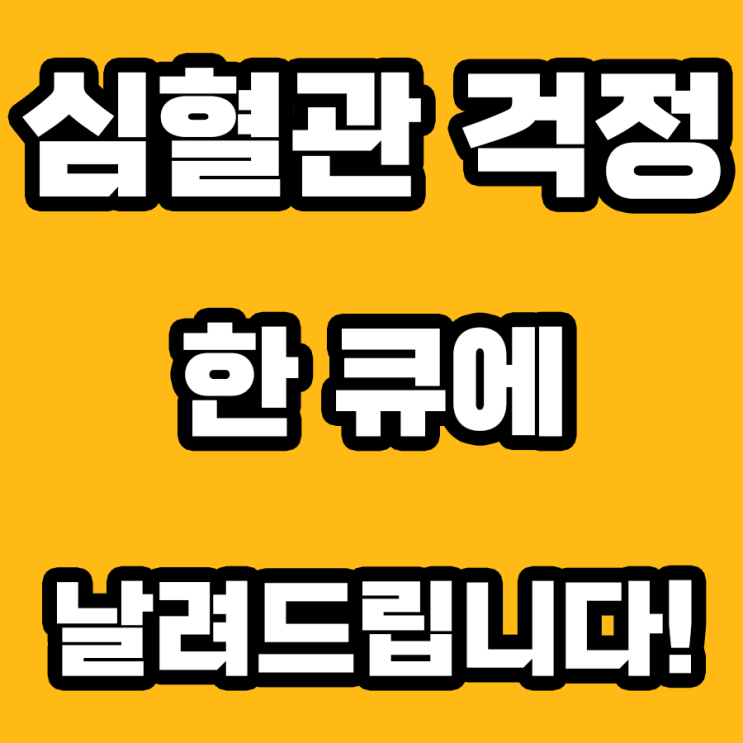  비타민D와 심혈관: 안 보면 후회할 '심장' 건강 정보