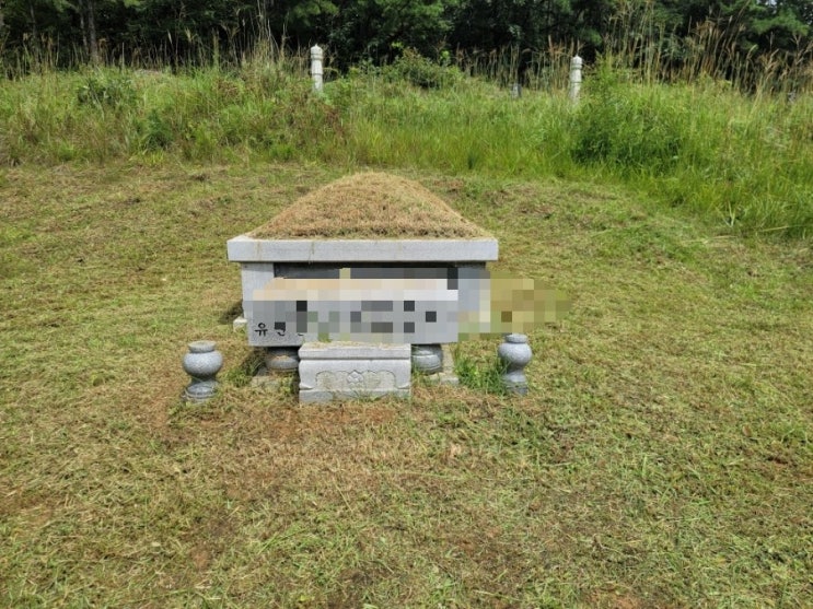  2023년 황간면 우매리 3기 추석벌초 고인돌장묘개발장의사