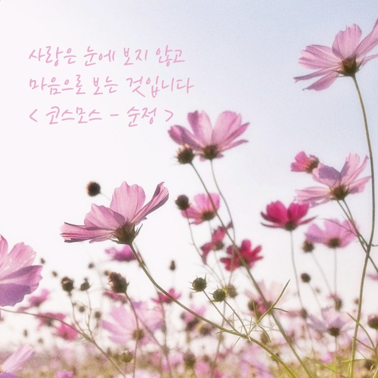  안녕, 9월