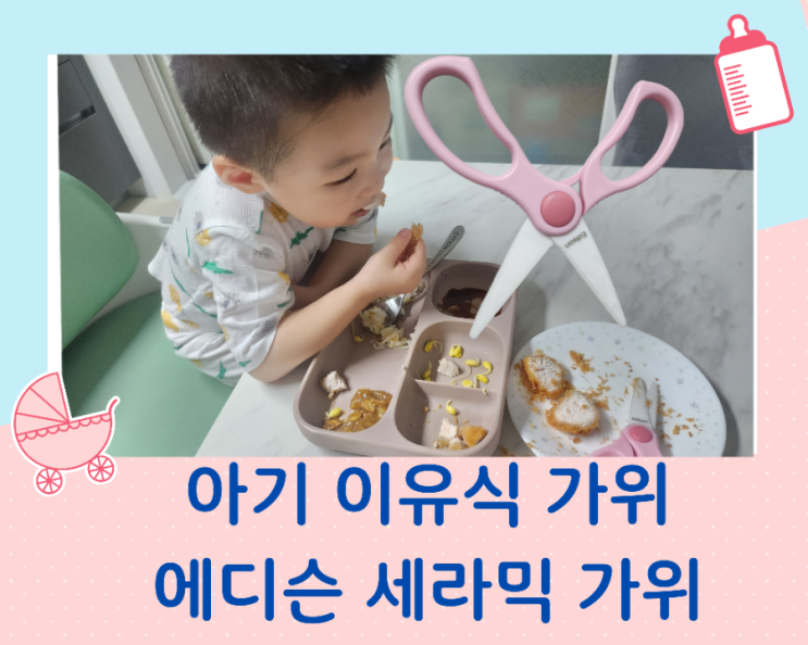  [내 돈 내산] 아기 이유식 전용 에디슨 세라믹 가위 후기 및 세척방법