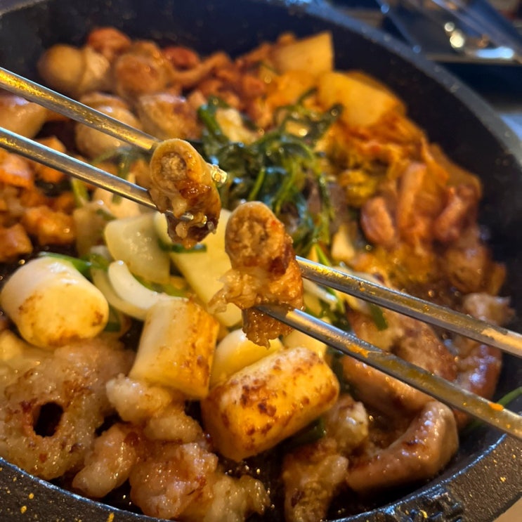  대전 봉명동 맛집 군자대한곱창 대한모둠곱창, 김치말이국수, 볶음밥