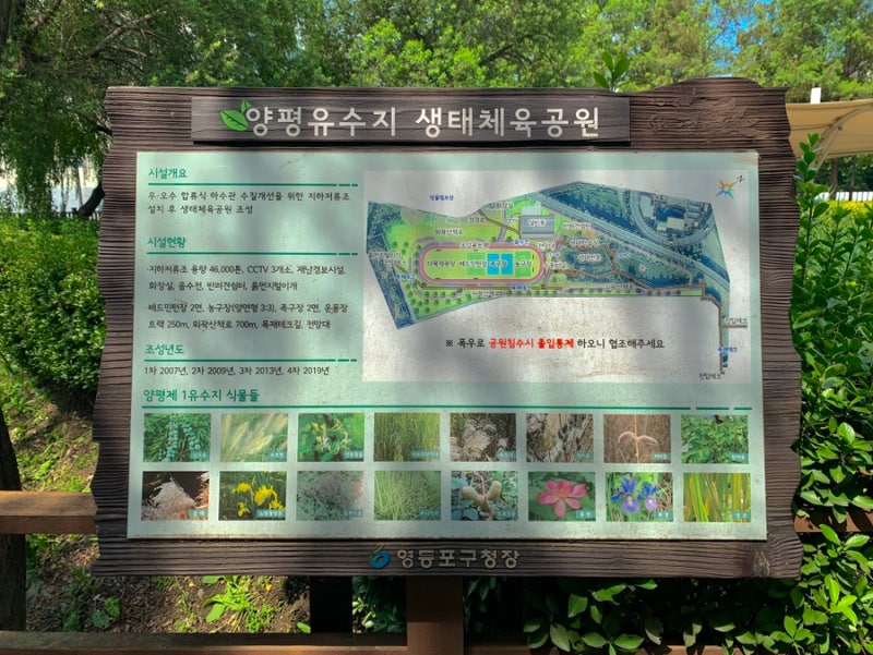 사진 5
