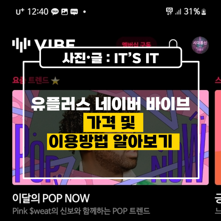  유플러스 네이버 바이브 가격 및 이용방법 알아보기