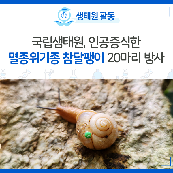 [NIE 소식] 국립생태원, 인공증식한 멸종위기종 참달팽이 20마리 방사