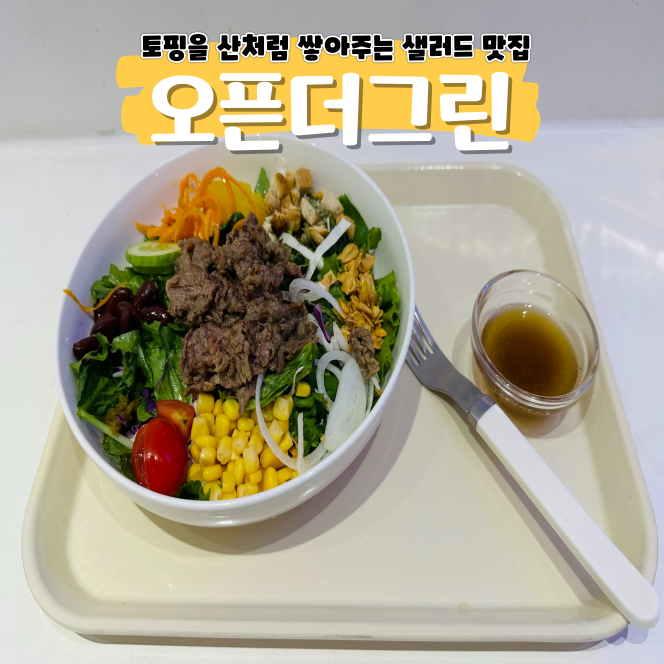 가산디지털단지역 맛집 오픈더그린 샐러드가 맛없다는 편견은 버려