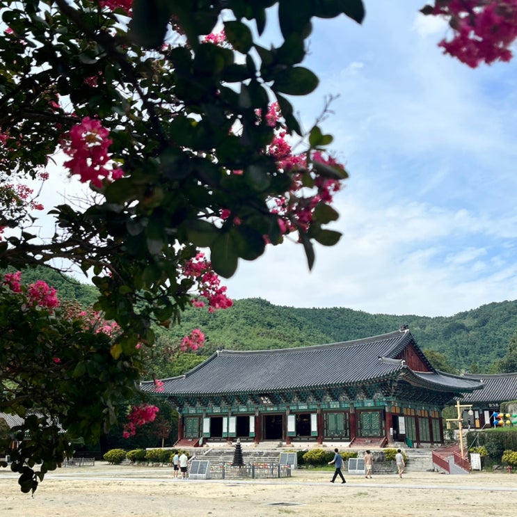  어제 다녀온 금산사