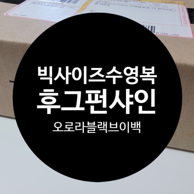 가나 스윔 빅 사이즈 여자 실내 수영복 구매. 후그 펀 샤인 미드 브이백 오로라 블랙 미들 컷 ....