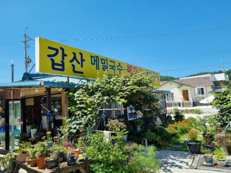  양양 양리단길 휴휴암 인근 맛집 갑산메밀국수 막국수 감자전