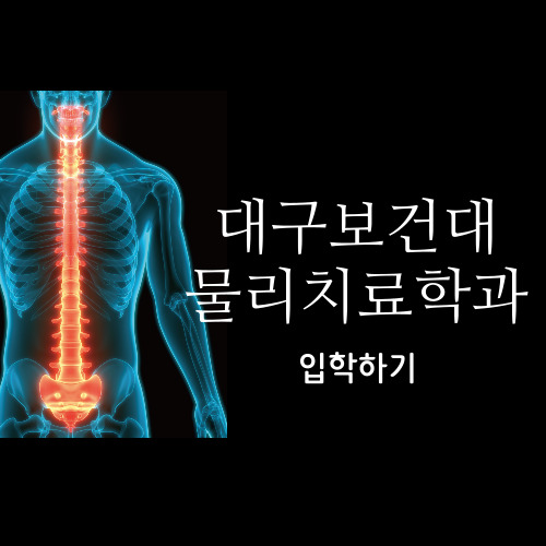  대구보건대 물리치료학과 특별 전형으로 고졸도 가능한 입학!