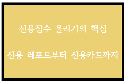  신용점수 올리기의 핵심: 신용 리포트부터 신용카드까지