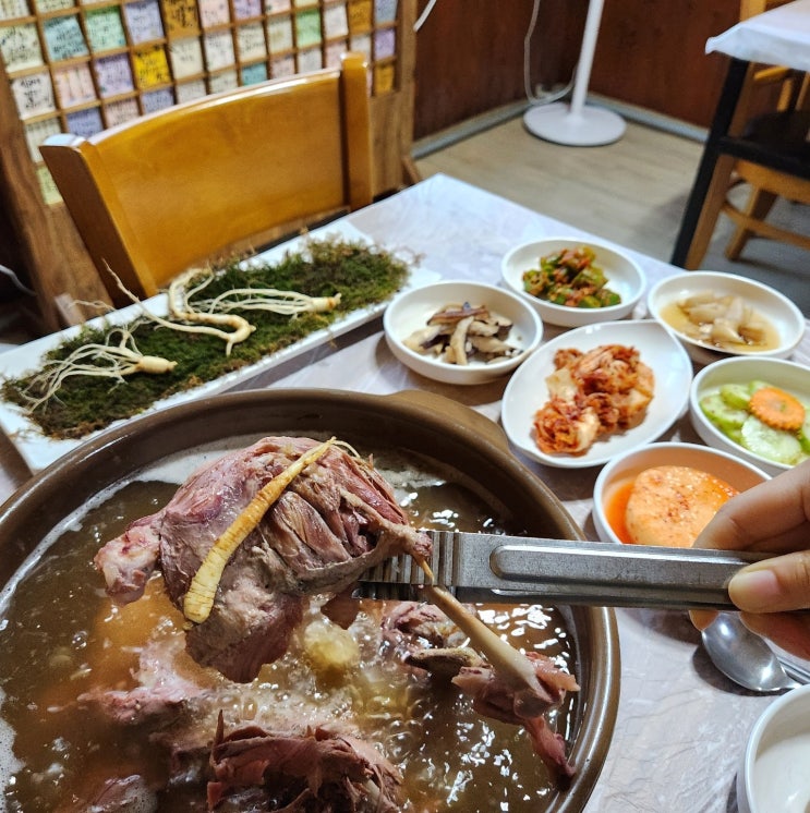  동학사 백숙 대전 근교 가막골 보양식 찐이다