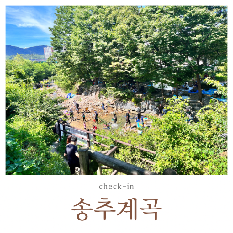  여름 휴가철 송추계곡️