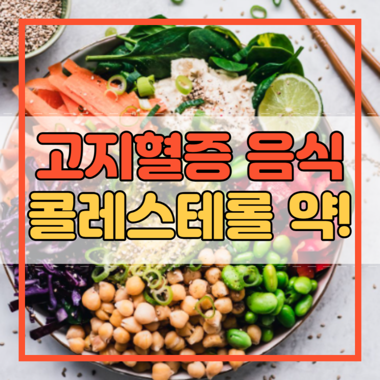  고지혈증에 좋은 음식 콜레스테롤 수치 낮추는 약!