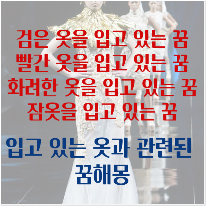 검은 옷을 입는 꿈, 빨간 옷을 입은 꿈, 화려한 옷을 입는 꿈, 잠옷을 입는 꿈 - 입고 있는 옷....