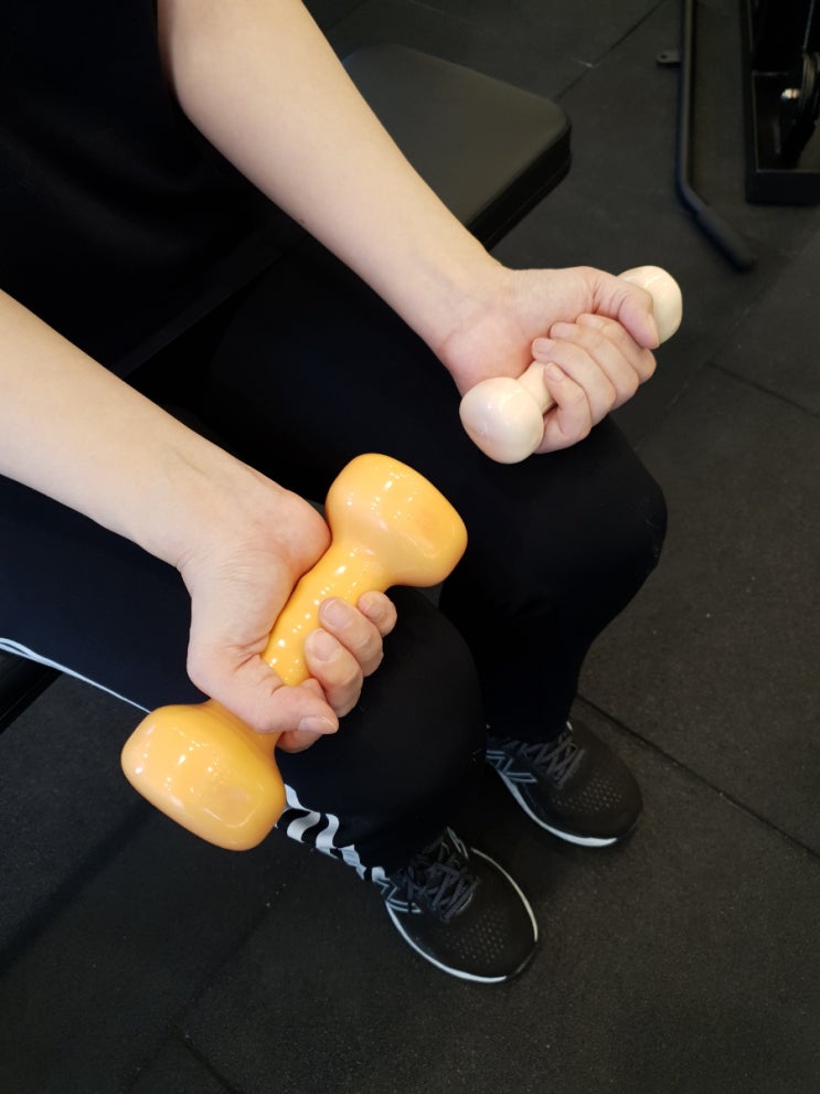  어떤 덤벨을 선택하실건가요?
