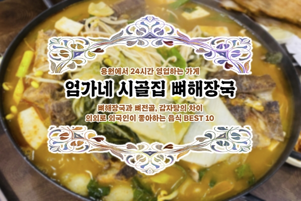  용원 24시간 뼈해장국 '아빠! 뼈해장국이랑 감자탕이랑 뭐가 달라요?'