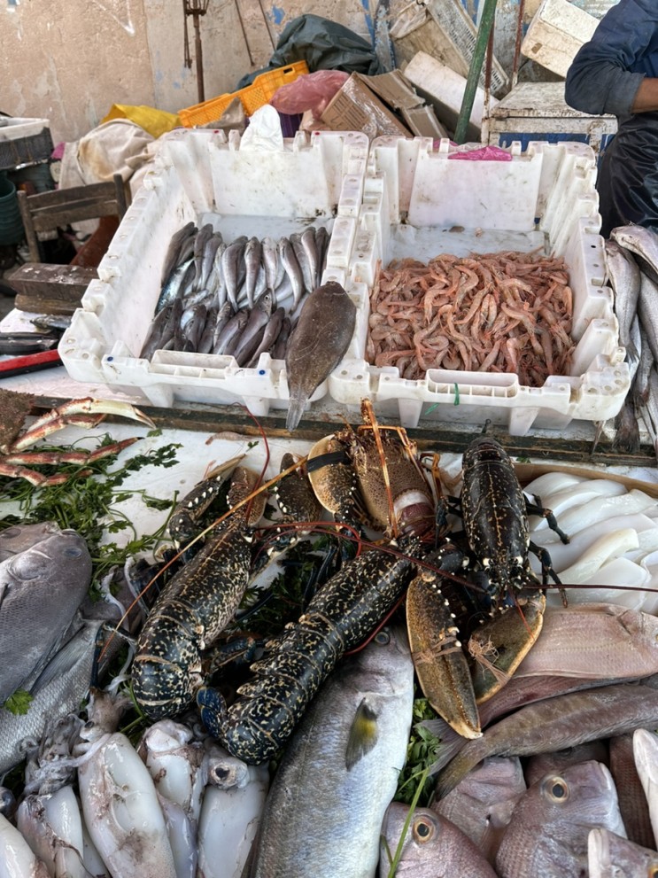 <b>모로코</b> 여행 #4 에사우이라에서는 해산물을 먹어야 합니다... 