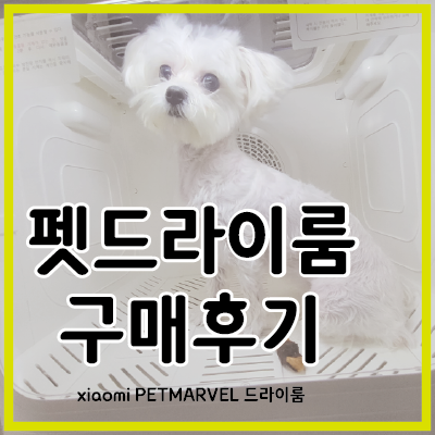  펫드라이룸 구매 후 만족스러운 사용 후기[정보공유]
