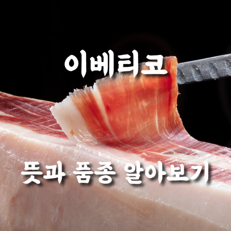  스페인돼지고기 하몽돼지고기 이베리코 뜻 등급 및 특징 알아보기