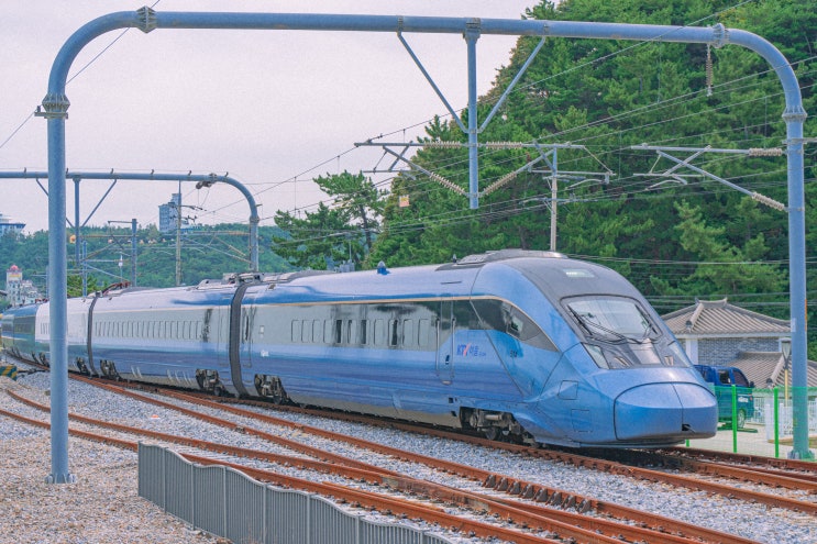  2023 추석 KTX, SRT 기차표 예매 일정, 결제 일정, 취소표 구하기