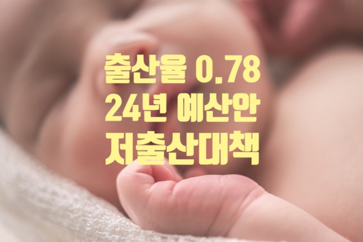  출산율 0.78명 초저출산 국가가 된 대한민국 : 2024년 예산안 저출산대책과 1인가구 정책