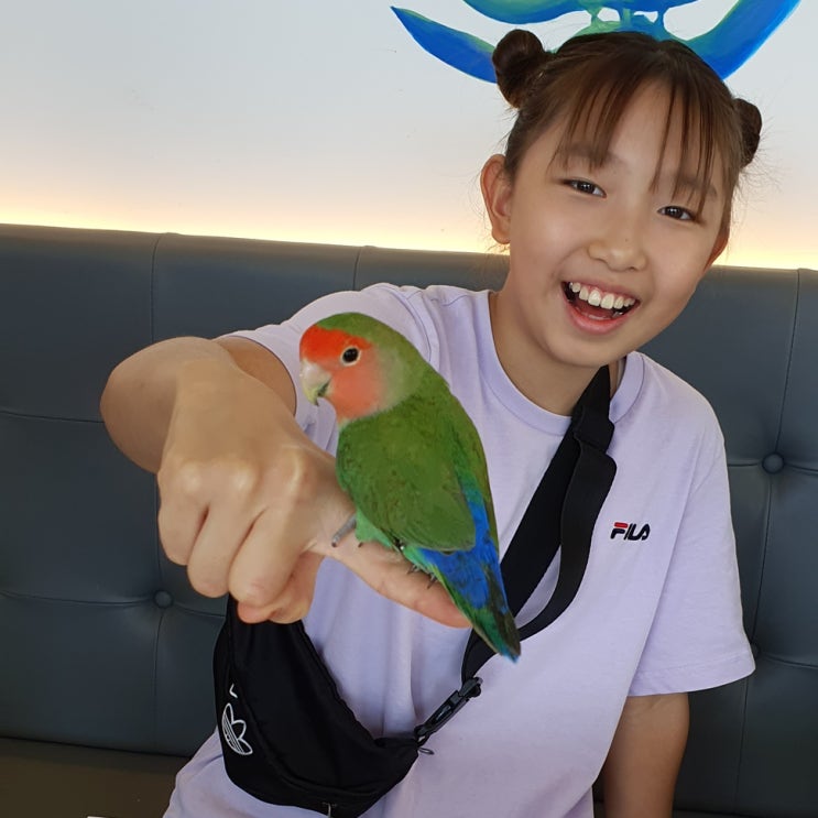 둥이들 앵무새 카페에 놀러가다 청당동 버드소리 / 슬쌍디아빠 이동섭