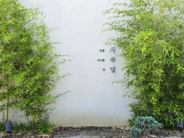  천안 풍세 분위기 이쁜 대형카페 시유당 도넛 맛집 추천