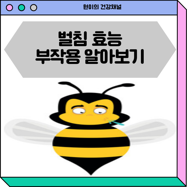  벌침 효능 봉침 부작용 알아보기!