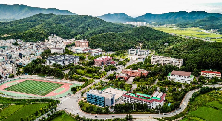 [대구 구미][의대 치대 한의대 전문 Best Of Best 비오비학원] 2024대입 동국대(WISE) 의예과 한의예과 수능 최저학력 기준 (수능 등급컷)
