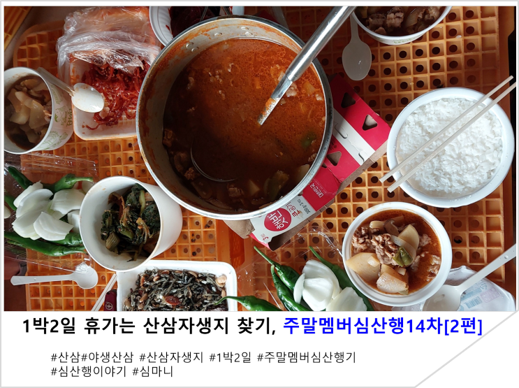  1박2일 휴가는 산삼자생지 찾기, 주말멤버 심산행14차[2편]