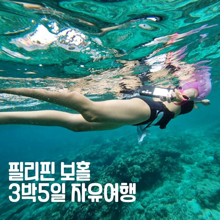  필리핀 보홀 자유여행 경비 3박5일 여행일정 후기