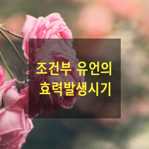  상속 - 조건부 유언의 효력발생시기