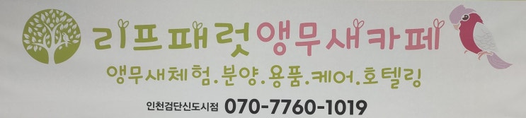  14개월 아기랑 이색 체험 : 인천 앵무새카페 리프패럿 검단신도시점