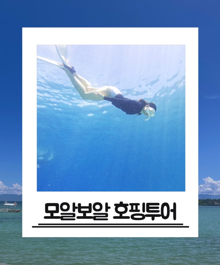 세부 모알보알 호핑투어 3박5일 자유여행 후기 (feat.로컬페이지)