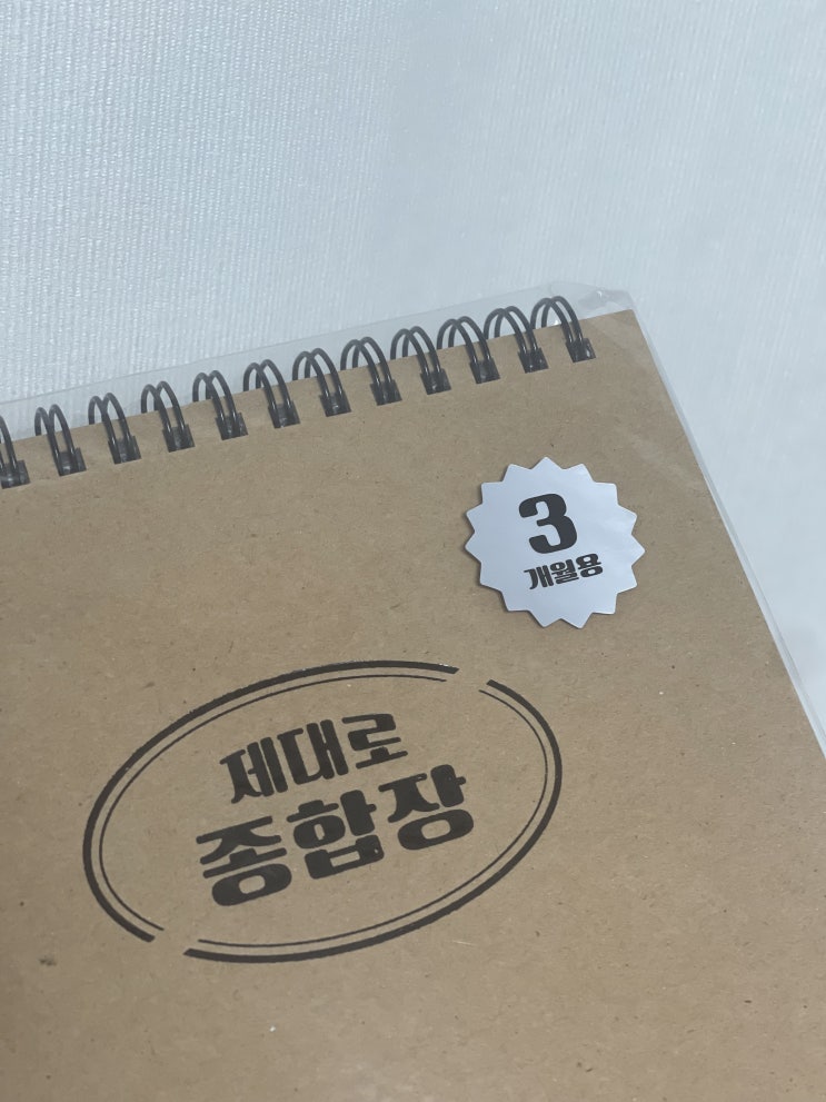  100일플래너 남은 23년 갓생살아보기 /리훈 3개월 제대로 종합장 플래너 하나로 다했다